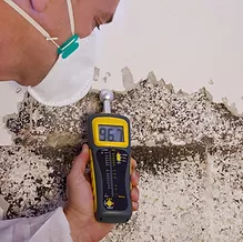 NORMI™ Certified Mold Assessor